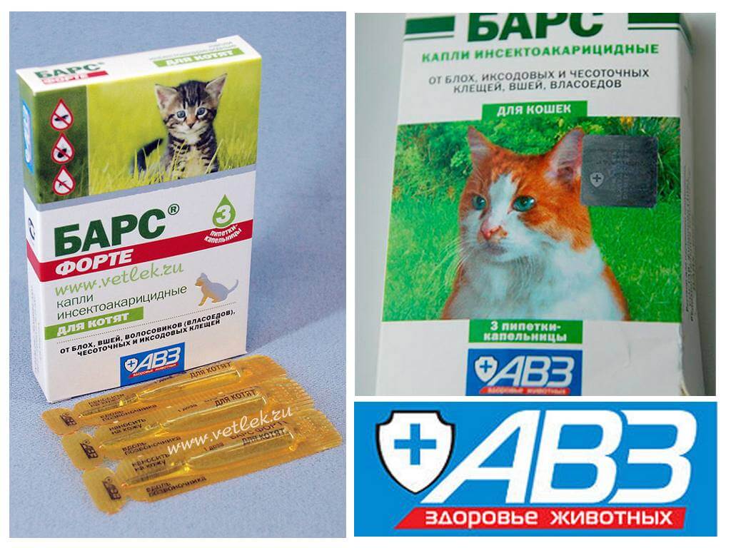 Drops Bars for cats and dogs from fleas and ticks