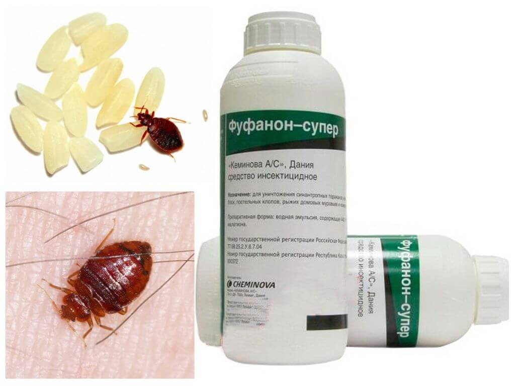 Means of Fufanon from bedbugs