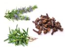 Cloves, thyme and rosemary