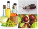 Chestnuts and essential oils