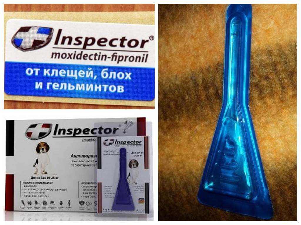 Drops Inspector for dogs from fleas