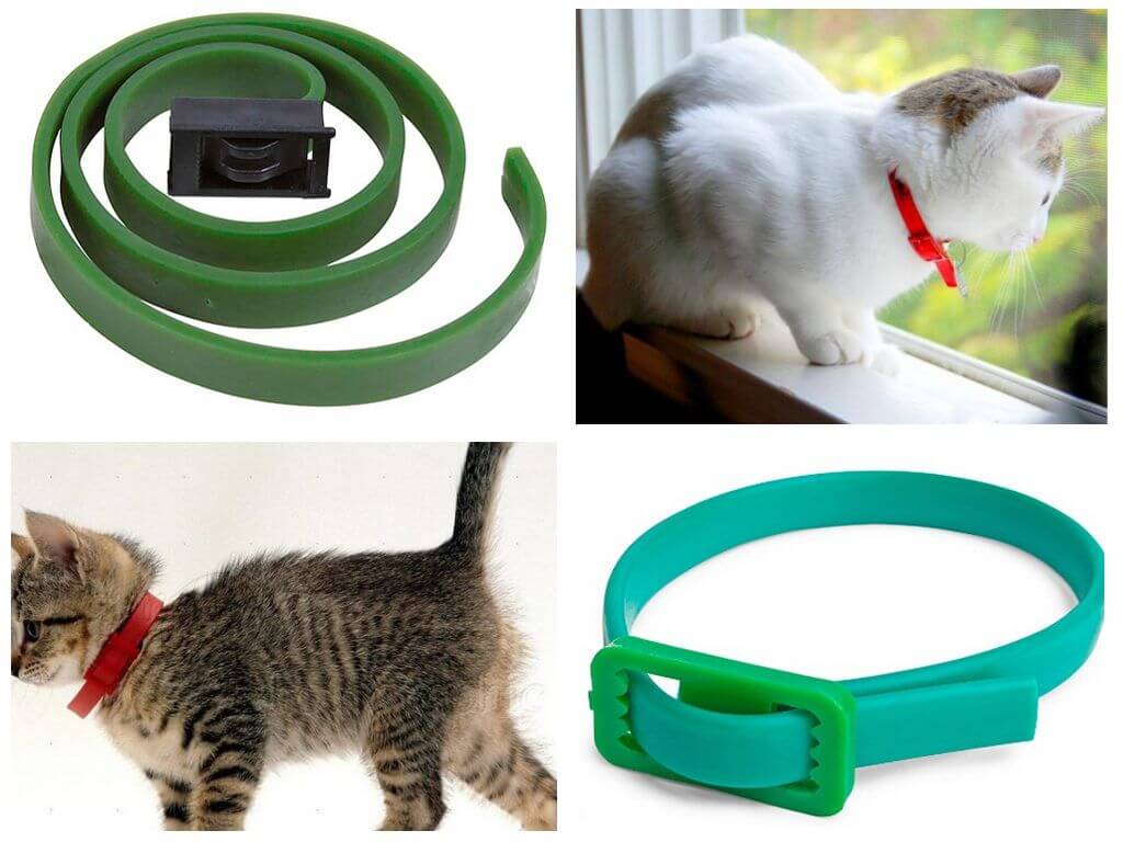 The best flea and tick collars for cats