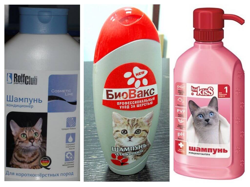 Shampooings aux puces pour chatons et chats