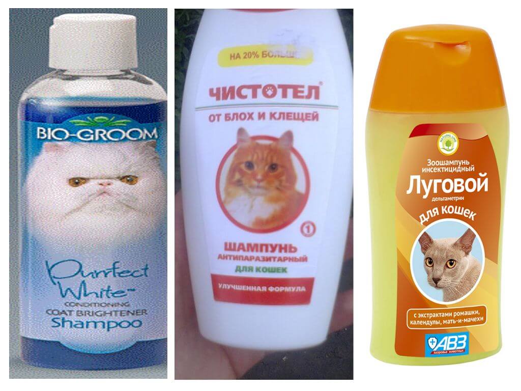 How often can you wash with flea shampoo