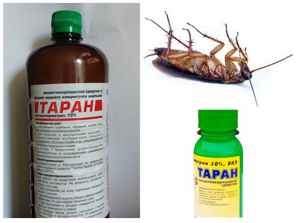 Liečba švábov