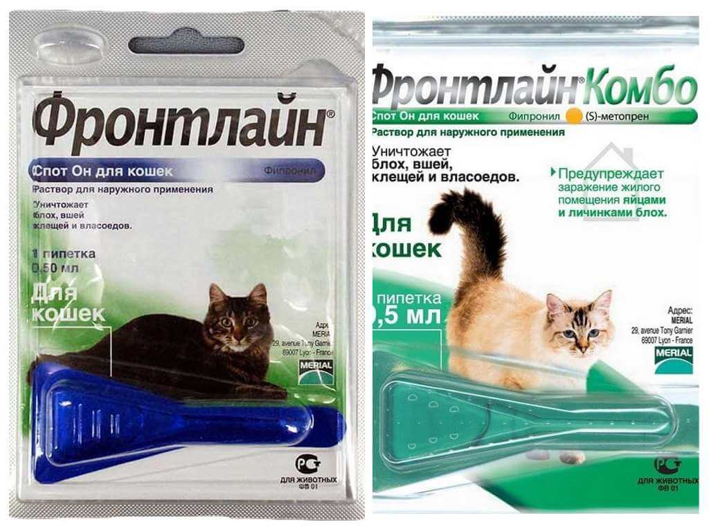 Drops Frontline from fleas for cats