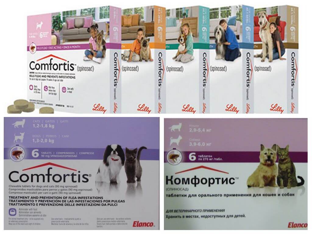 Flea tablets for dogs and cats