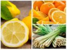 Citroen, sinaasappel en citroengras