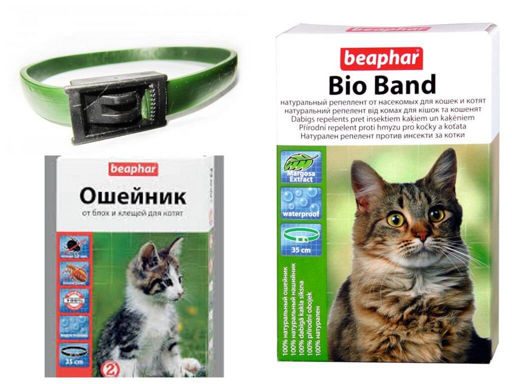 Collier anti-puces Beafar pour chats et chiens