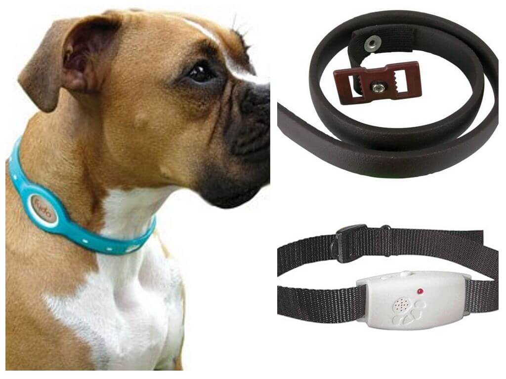 Best flea and tick collars for dogs