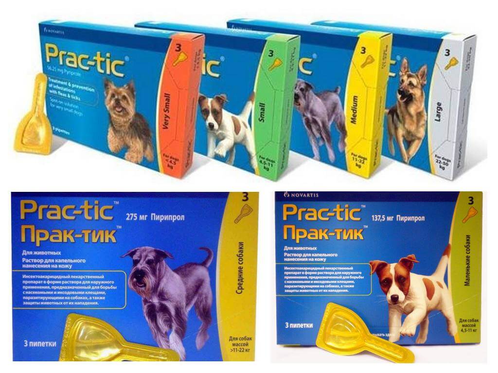 Drops Practitioner for fleas and ticks for dogs