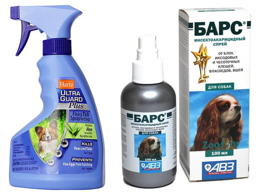 Best flea sprays for dogs