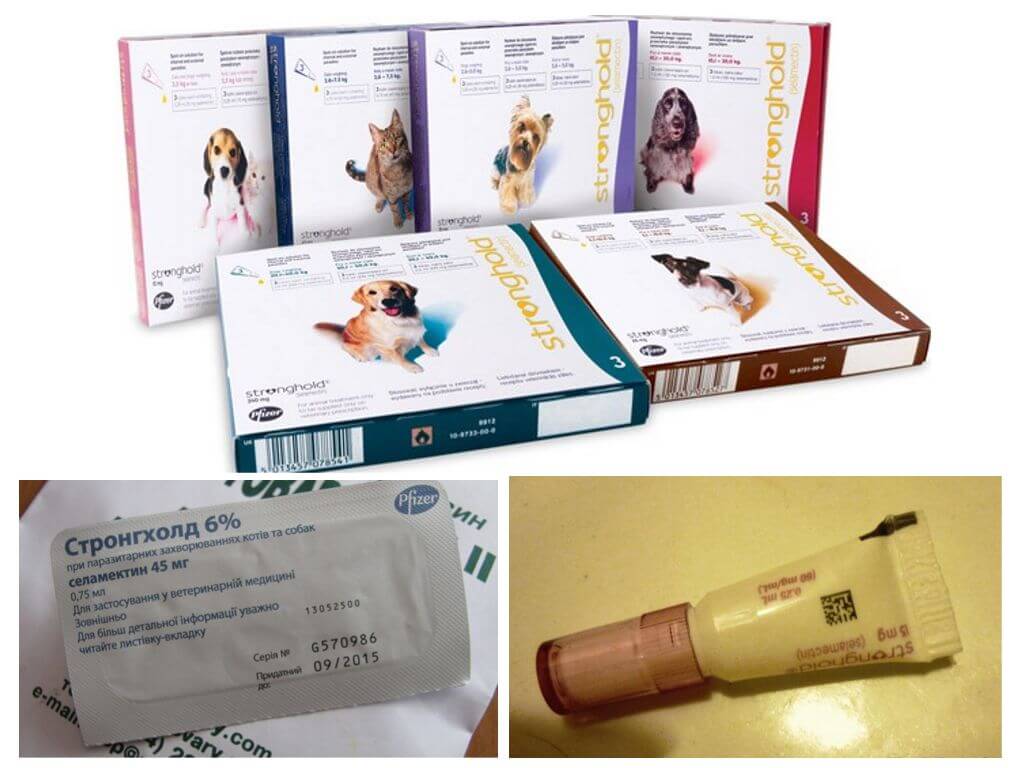 Flea Stronghold Drops for Dogs and Cats
