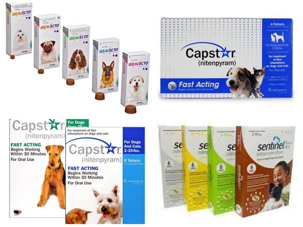 Flea and tick pills for dogs