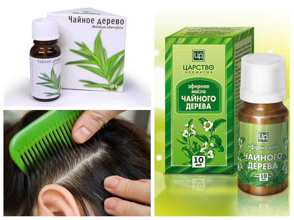 Tea Tree Oil for Lice and Nits