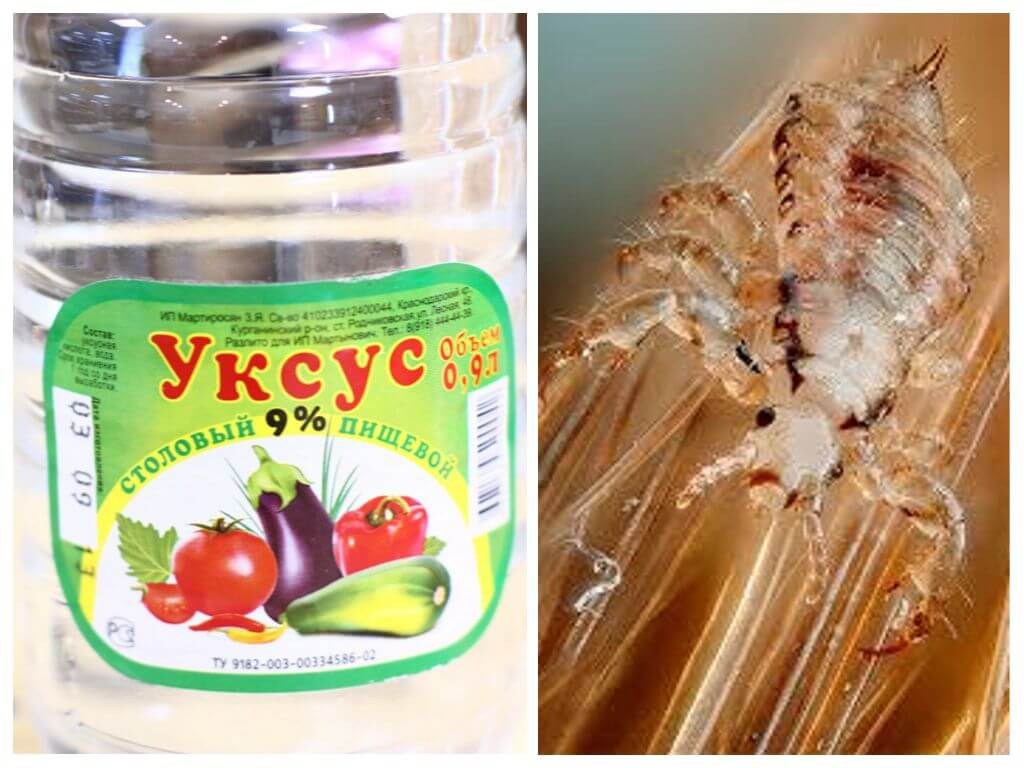 How to remove vinegar and lice with vinegar