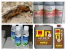 Insecticides from the bear