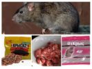 Chemikalien für Ratten