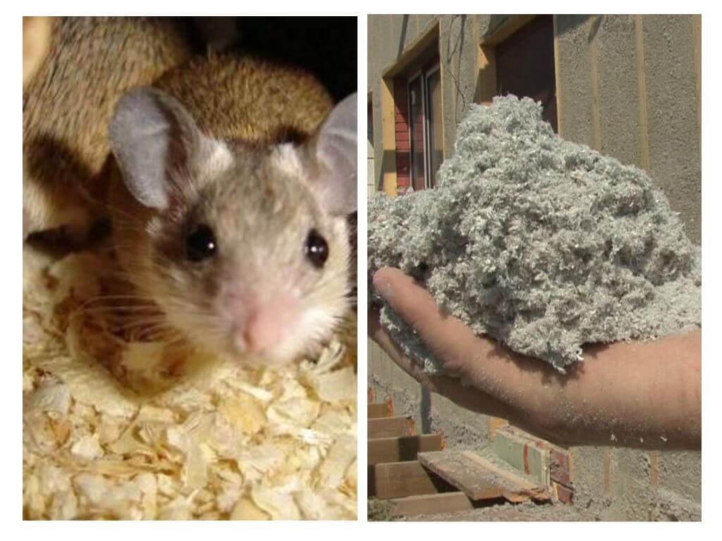 What kind of insulation do not eat mice