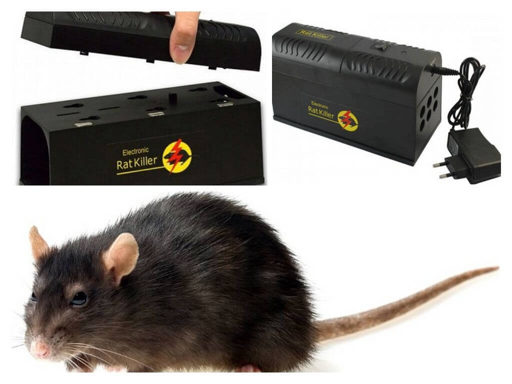Elektrická past na krysy