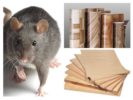 Do rodents bite plywood and linoleum