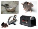 مصيدة الفئران