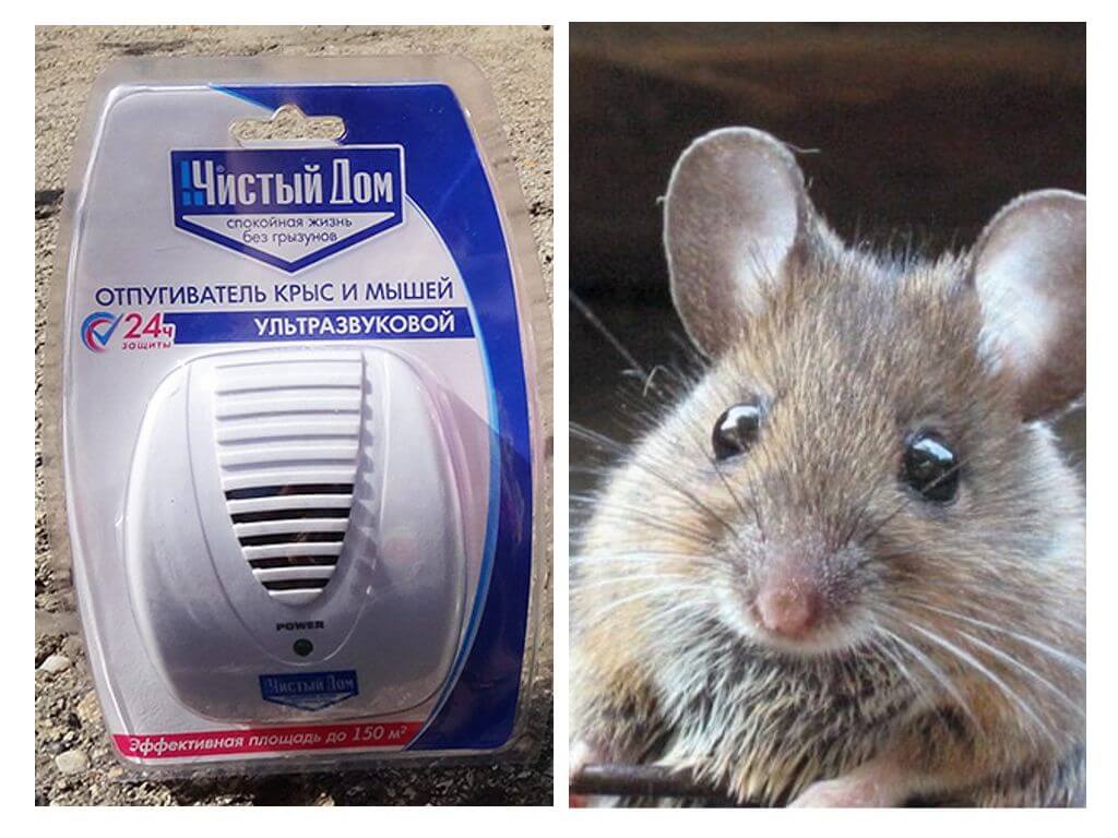 Ultrazvukový krysa a repelent myši Clean House