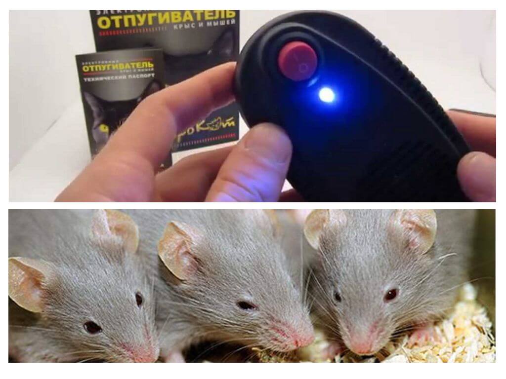 Repeller myší a potkanů ​​Electrocat