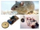 Das Gerät von Mäusen