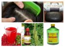 Folk remedies for lice and nits