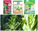 Biological products from aphids