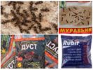 Chemicals against ants