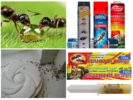 Prostriedky proti mravcom