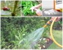 Insect Control Methods