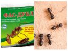 Remède Fas-Double pour les fourmis