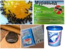 Chemical preparations for insects