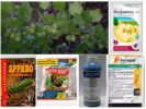 Aphid Insecticides