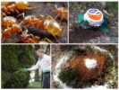 Žuti mravi u seoskoj kući i vrtu
