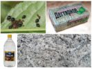 Folk recipes from aphids