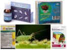 Pesticides from aphids