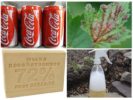 Uso de Coca-Cola contra pulgones