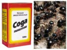 Soda dans la lutte contre les fourmis