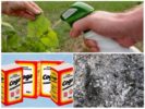 Aphid and soda solutions