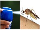 Aerosols from mosquitoes