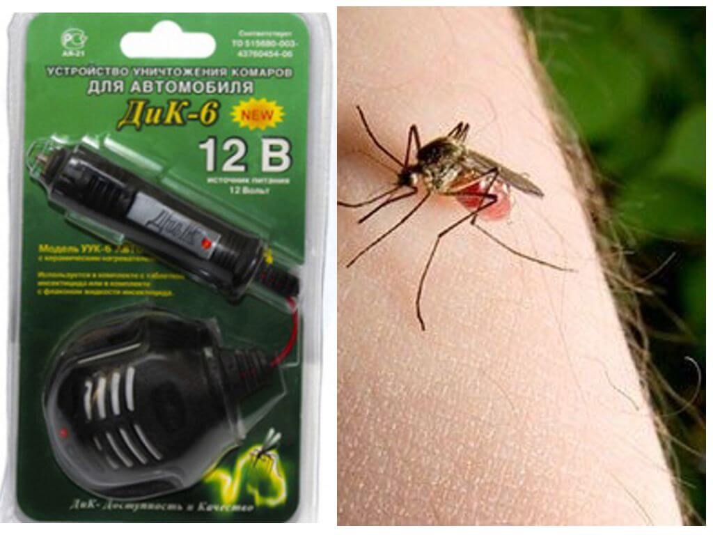 Remedies for mosquitoes in the car