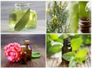 Essential oils in the fight against insects
