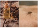 Clove oil from mosquitoes