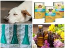 Remedies for mosquitoes for pets