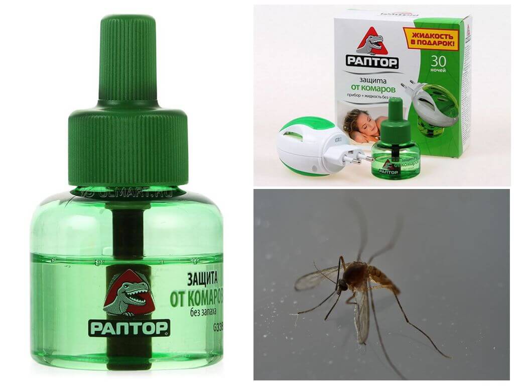 Répulsif anti-moustiques Raptor