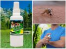 Sprühen Sie Taiga Mückenschutz